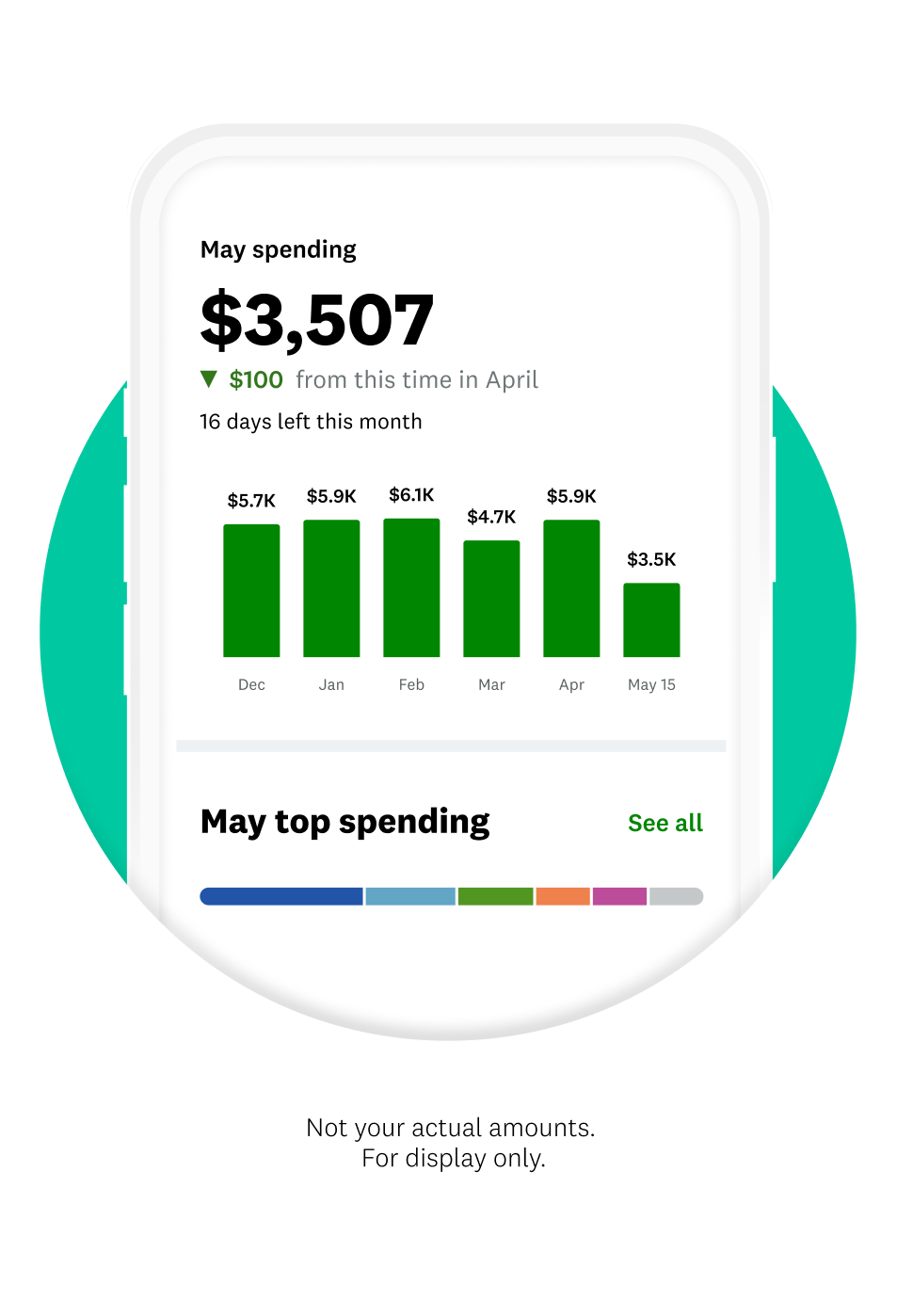 iPhone displaying Mint monthly budget